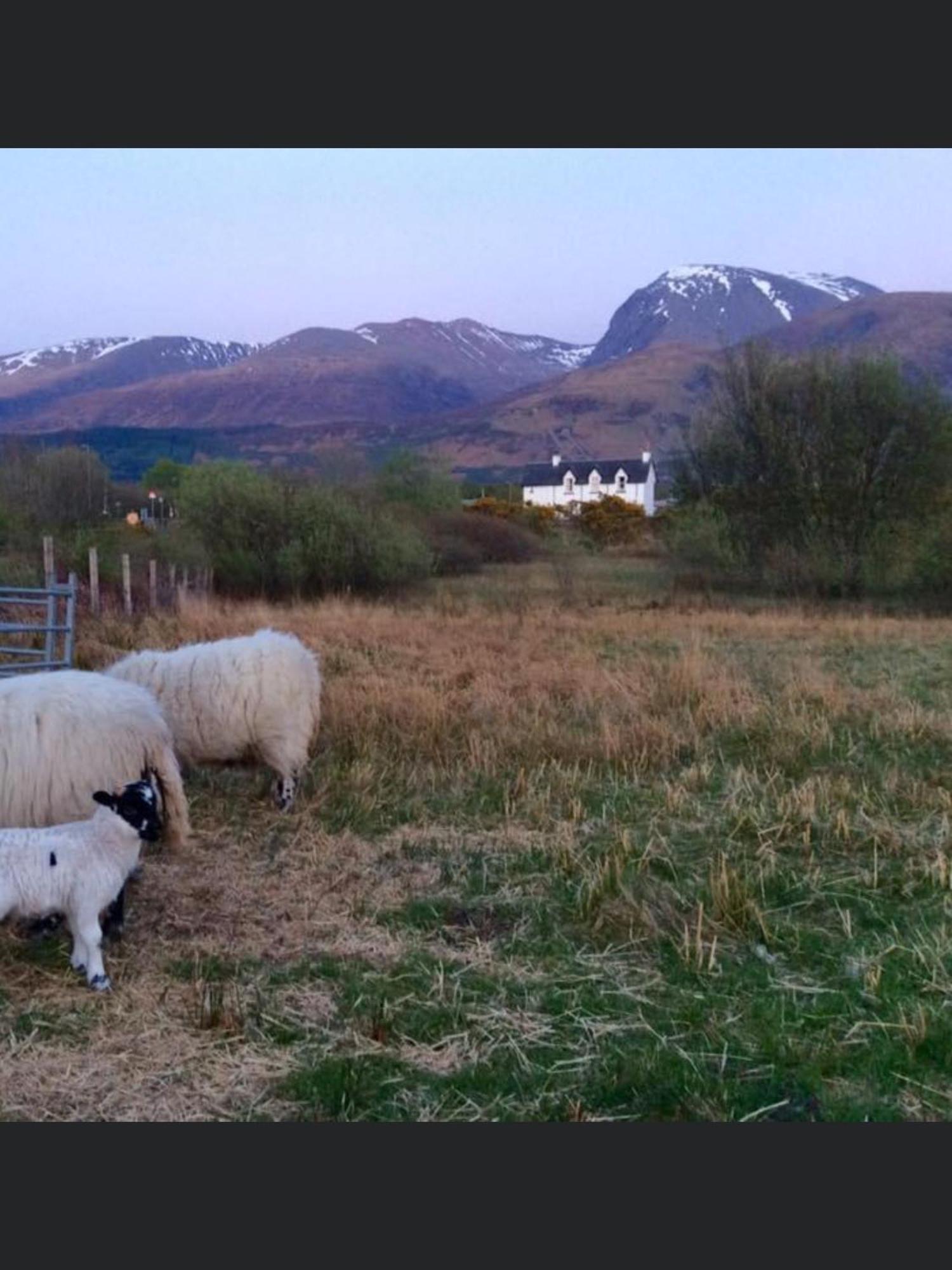The Shielings By Inverlochy Villas Fort William Esterno foto